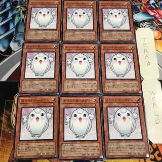 ホワイトポータン 1 ノーマル 9枚セット てら