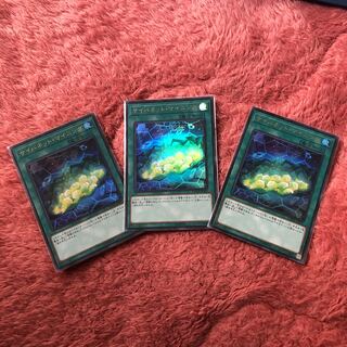 サイバネット・マイニング