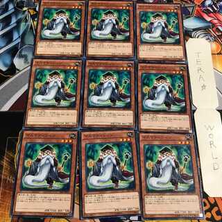 Mathematician 2 Normal 9-card set Tera
