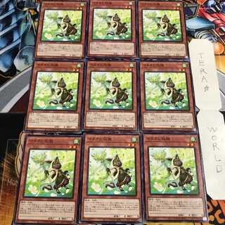 マタタビ仙狸 1 ノーマル 9枚セット てら