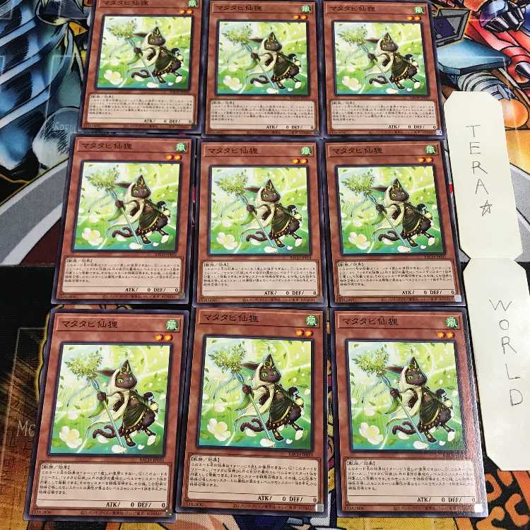 マタタビ仙狸 2 ノーマル 9枚セット てら