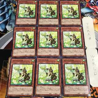 マタタビ仙狸 4 ノーマル 9枚セット てら