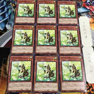 マタタビ仙狸 5 ノーマル 9枚セット てら