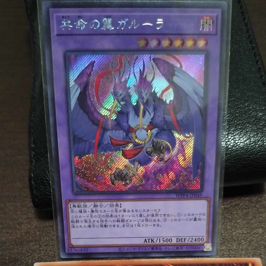 共命の翼 ガルーラ 1枚