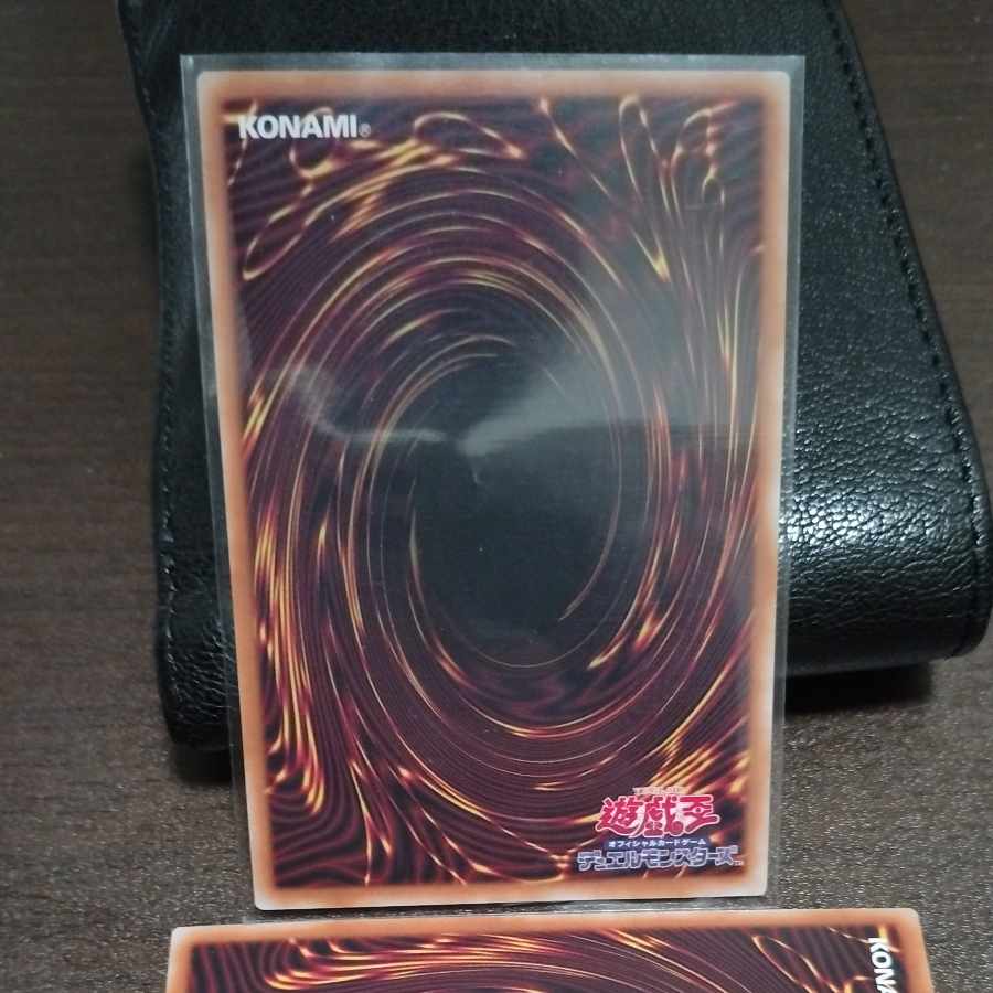 共命の翼 ガルーラ 1枚