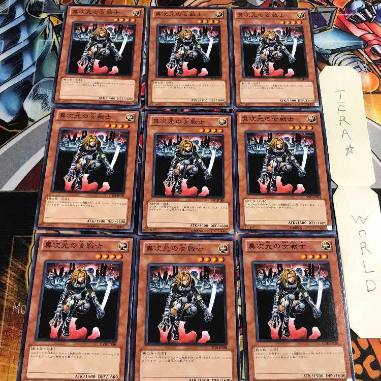 D.D. Warrior Lady 2 Normal, set of 9, Tera