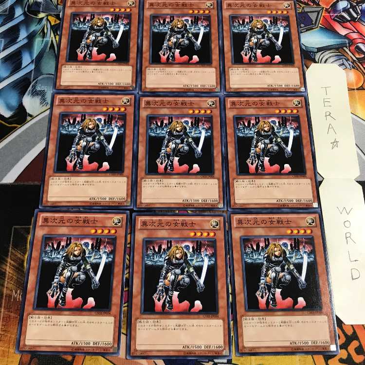 D.D. Warrior Lady 3 Normal, set of 9, Tera