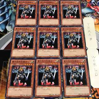 D.D. Warrior Lady 4 Normal, set of 9, Tera.