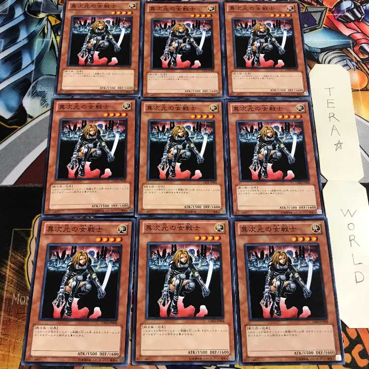 D.D. Warrior Lady 5 Normal, set of 9, Tera.