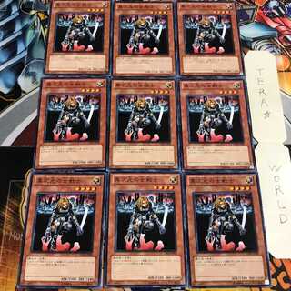 D.D. Warrior Lady 5 Normal, set of 9, Tera.