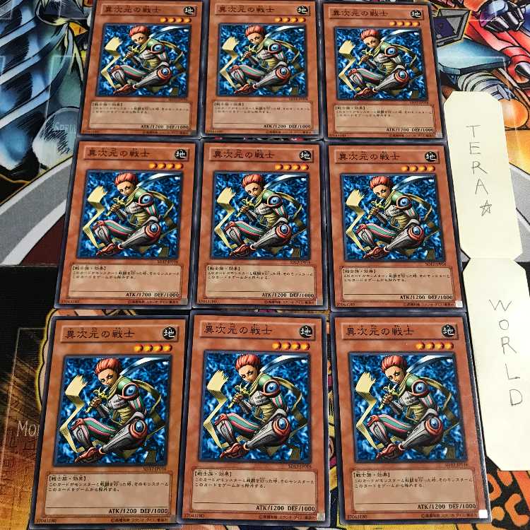 D.D. Warrior 3 Normal, set of 9, Tera