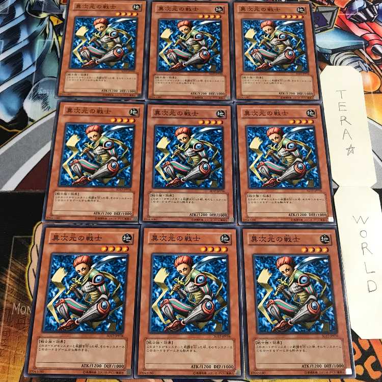 D.D. Warrior 4 Normal, set of 9, Tera.