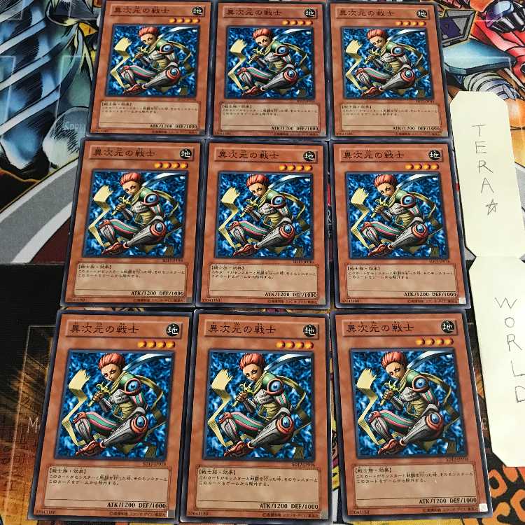 D.D. Warrior 5 Normal, set of 9, Tera.