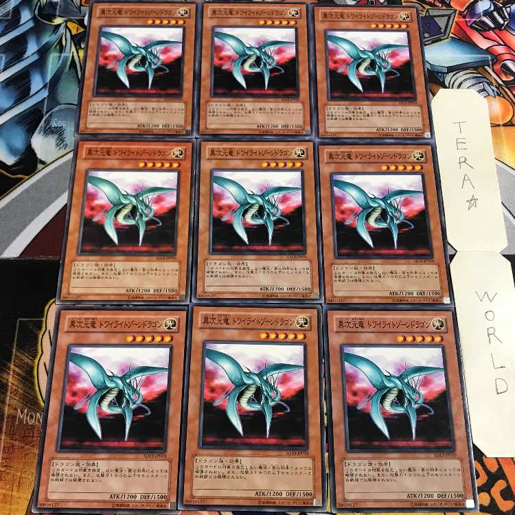 異次元竜 トワイライトゾーンドラゴン 5 ノーマル 9枚セット てら