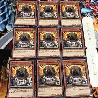 横綱犬 2 ノーマル 9枚セット てら