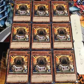 横綱犬 3 ノーマル 9枚セット てら