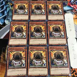 横綱犬 4 ノーマル 9枚セット てら