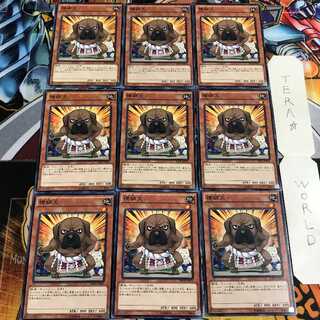 横綱犬 5 ノーマル 9枚セット てら