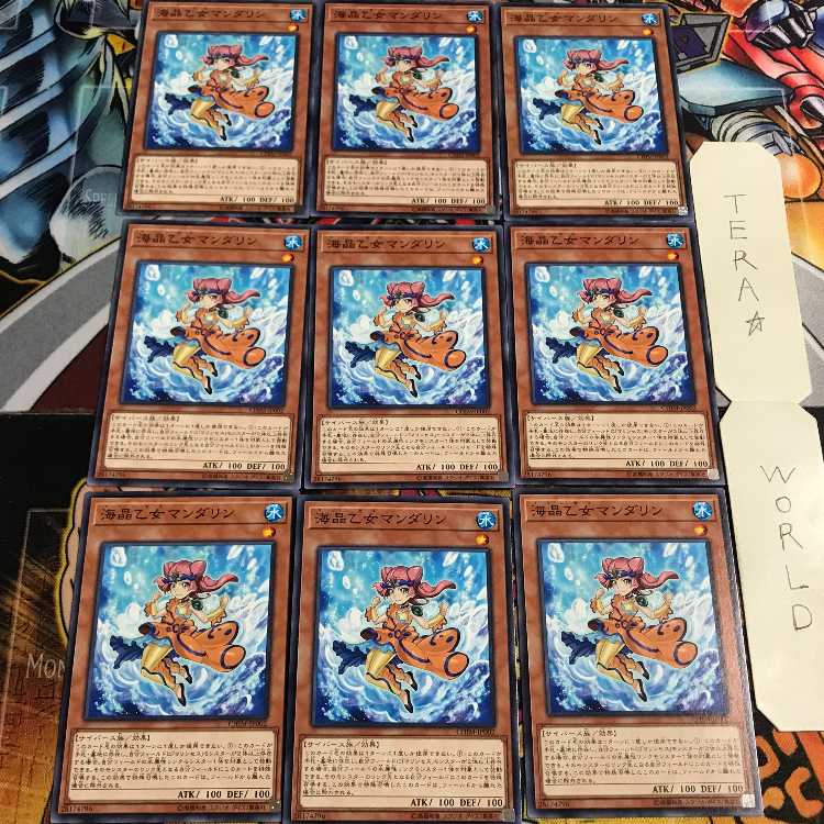 海晶乙女マンダリン 3 ノーマル 9枚セット てら