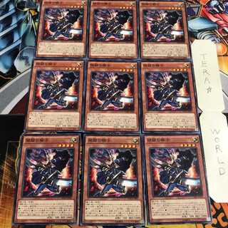 開闢の騎士 2 ノーマル 9枚セット てら