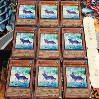 貫ガエル 2 ノーマル 9枚セット てら