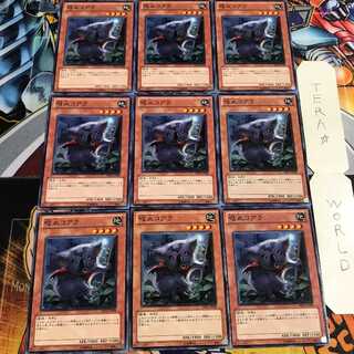 吸血コアラ 1 ノーマル 9枚セット てら