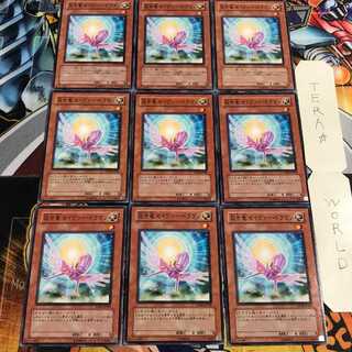 救世竜 セイヴァー・ドラゴン 2 ノーマル 9枚セット てら