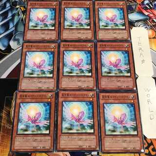 救世竜 セイヴァー・ドラゴン 3 ノーマル 9枚セット てら