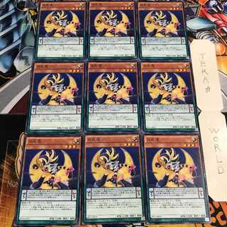 Lunalight Tiger 1 Normal, set of 9 Tera.