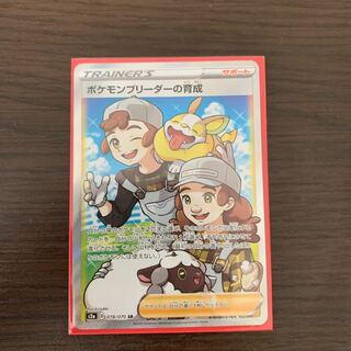 ポケモンブリーダーの育成 SR