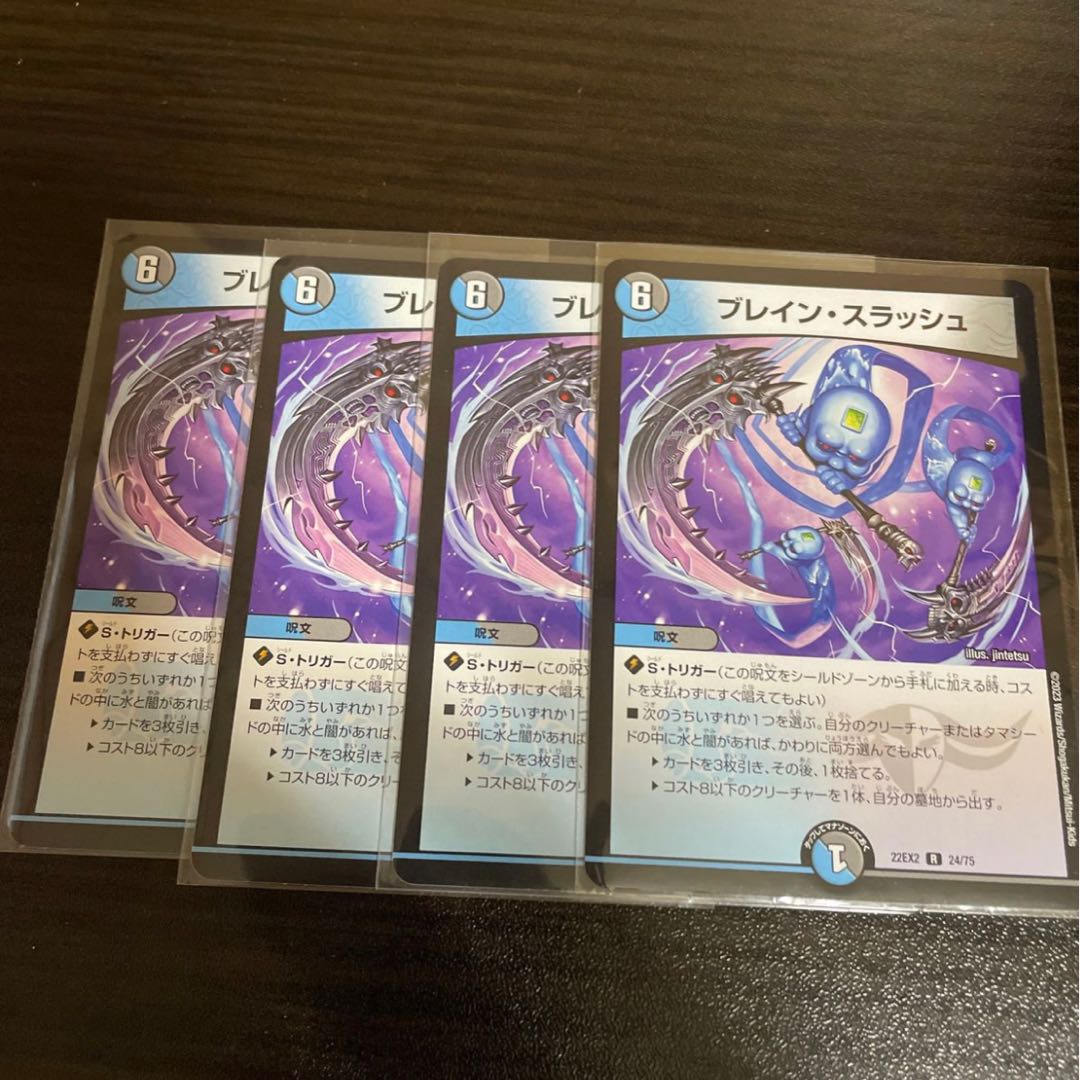 ブレイン・スラッシュ R 24/75