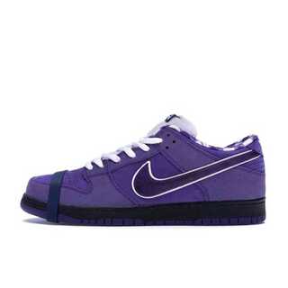 Concepts x Nike SB Dunk Low "Purple Lobster" 28.5cm