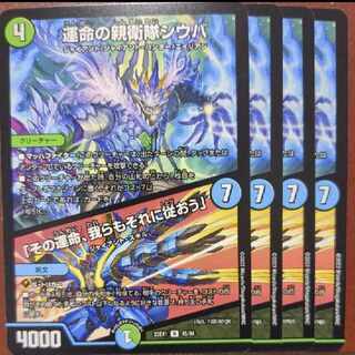 dvbセット割引 運命の親衛隊シウバ｜「その運命、我らもそれに従おう」 R 45/84