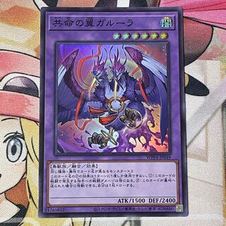 共命の翼ガルーラ　スーパー