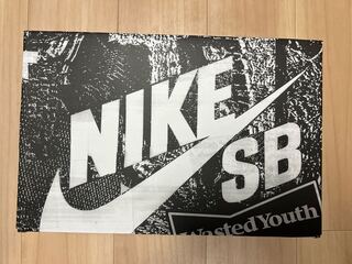 DUNK SB Wasted YouthスペシャルBOX 27cm