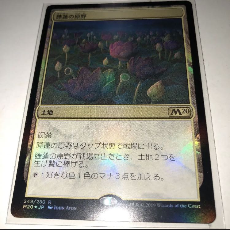 睡蓮の原野　foil