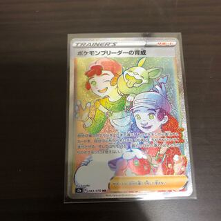 ポケモンブリーダーの育成HR