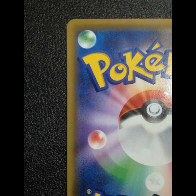 エリカのおもてなし SR 傘さし