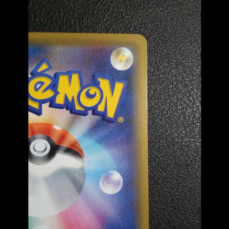 エリカのおもてなし SR 傘さし