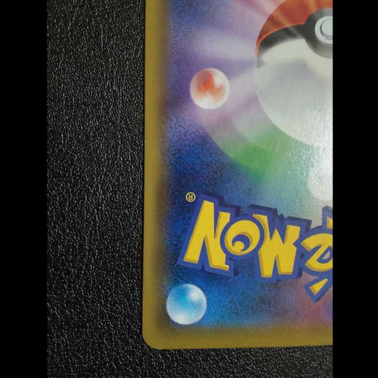 エリカのおもてなし SR 傘さし