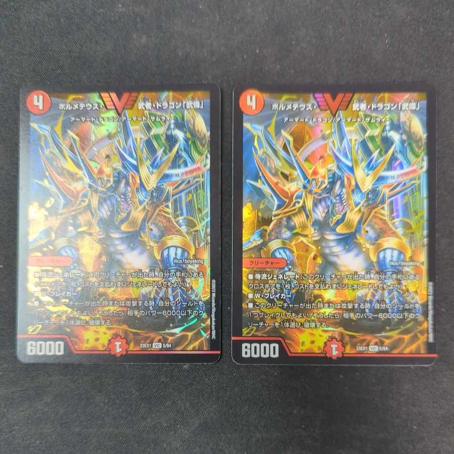 Bormetheus, warrior, dragon "Wuwei" VIC 5/84