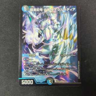 龍素記号wD サイクルペディア SR 14/84