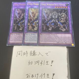 Middle Life Era Fossil Knight Skull Knight English 29463