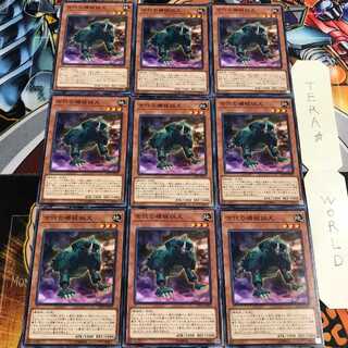 Ancient Gear Hunting Hound 1 Normal, set of 9 Tera.