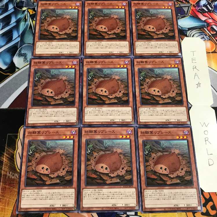 枯鰈葉リプレース 3 ノーマル 9枚セット てら