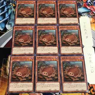 枯鰈葉リプレース 3 ノーマル 9枚セット てら