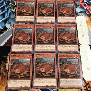 枯鰈葉リプレース 4 ノーマル 9枚セット てら