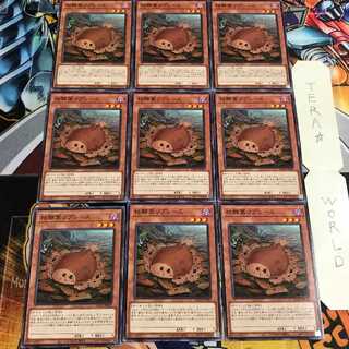 枯鰈葉リプレース 5 ノーマル 9枚セット てら