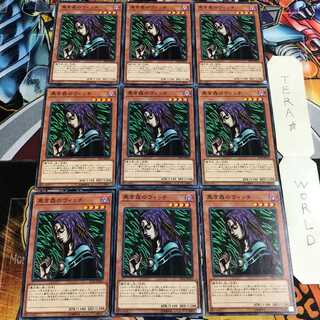 黒き森のウィッチ 4 ノーマル 9枚セット てら