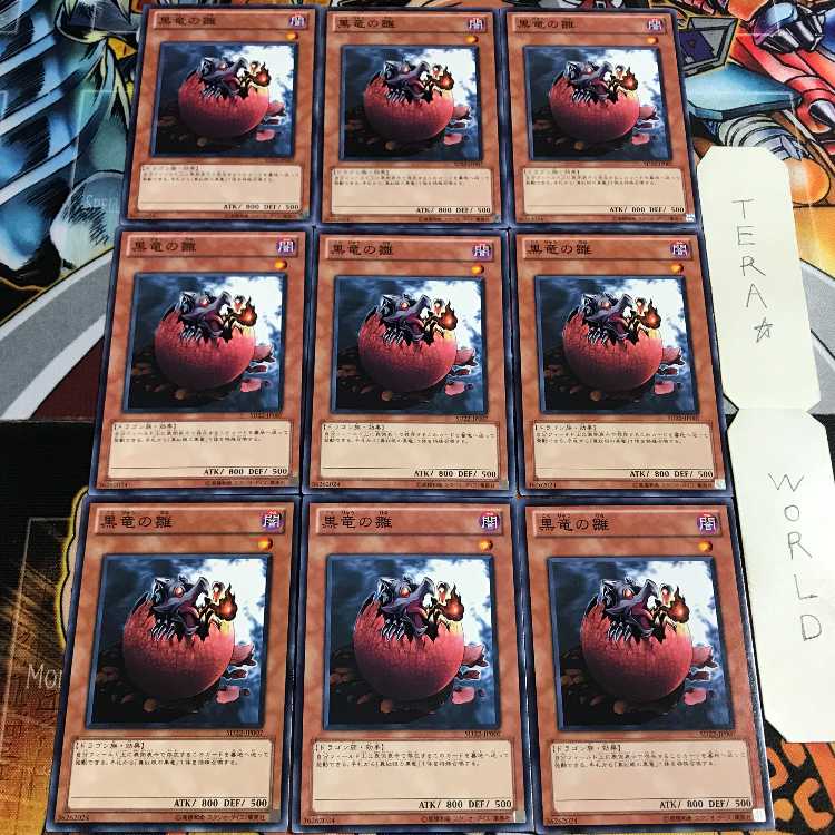 黒竜の雛 5 ノーマル 9枚セット てら